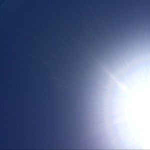 Meet your Posher, Roxanne